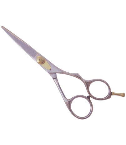 Professional Hair Cutting Scissors 